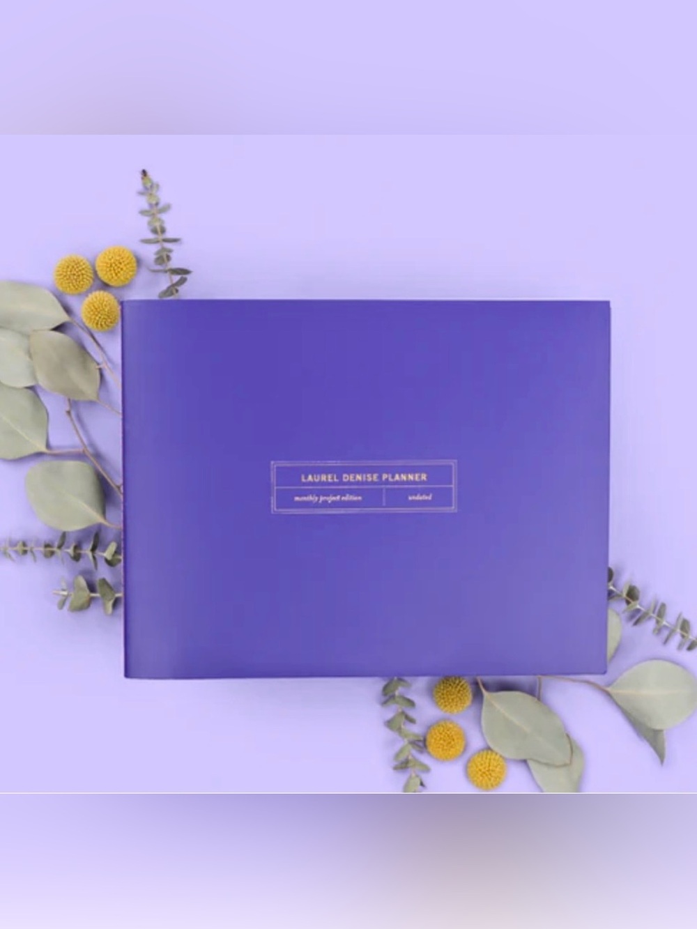 LAUREL DENISE UNDATED PROJECT PLANNERS ROYALTY (soft cover)
